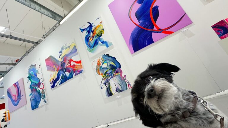 Ausstellungen 2026